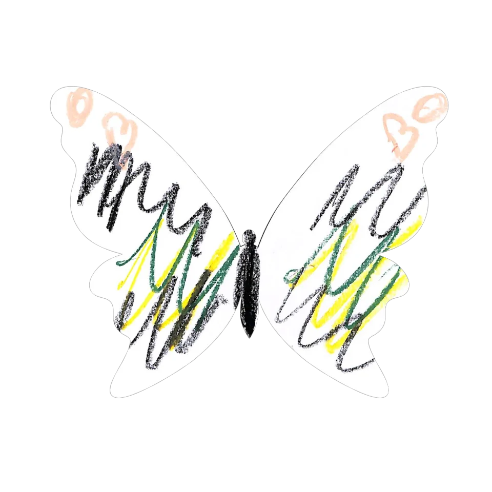 Original Butterfly Image