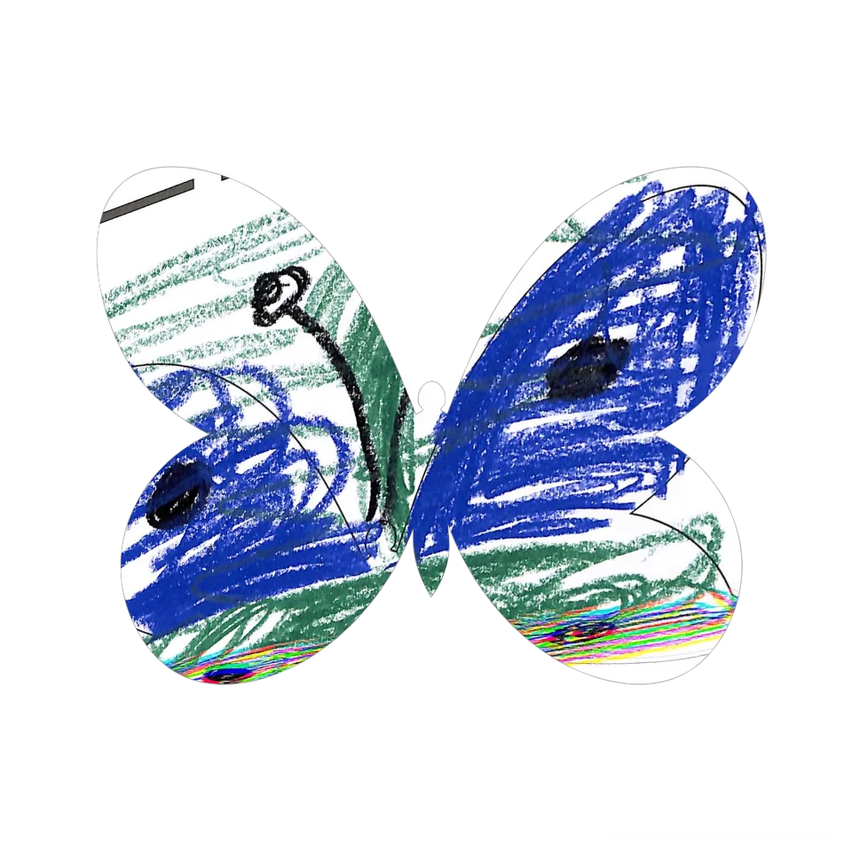 Original Butterfly Image