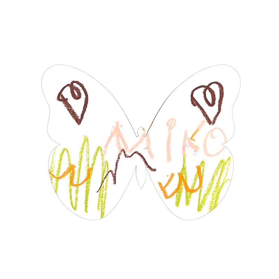 Original Butterfly Image