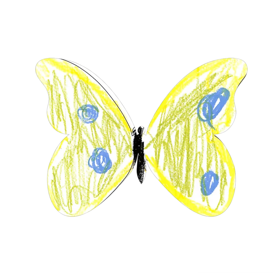Original Butterfly Image