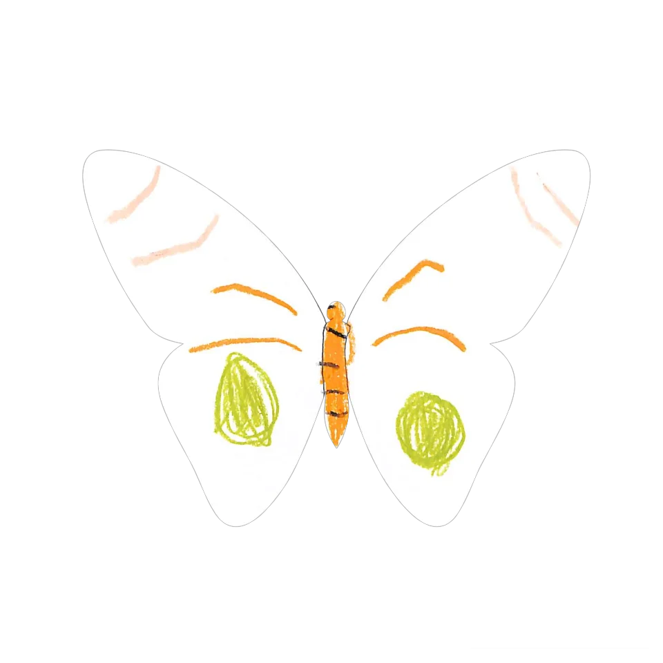 Original Butterfly Image