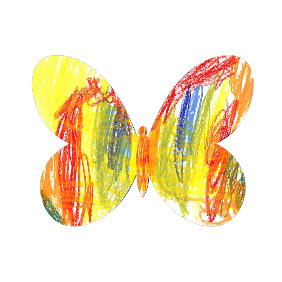 Original Butterfly Image