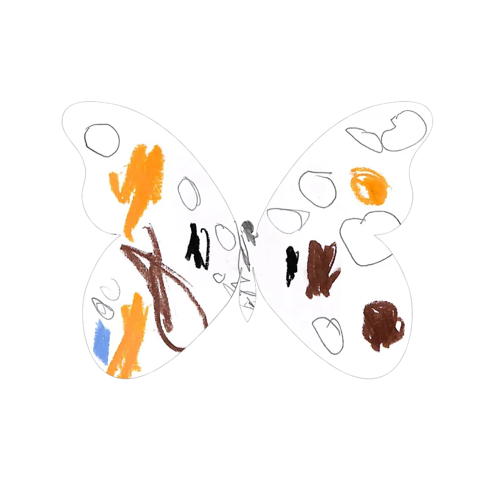 Original Butterfly Image