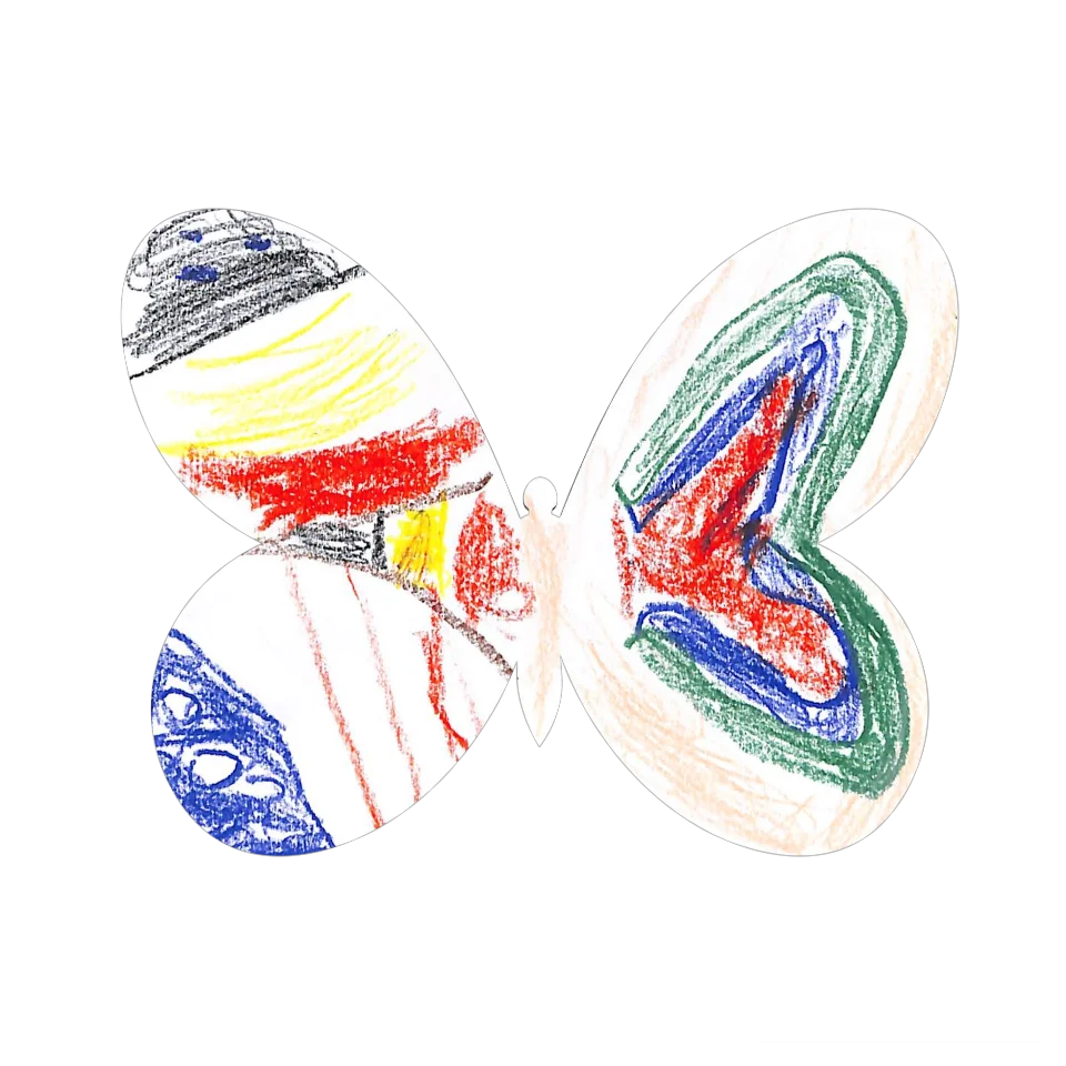Original Butterfly Image