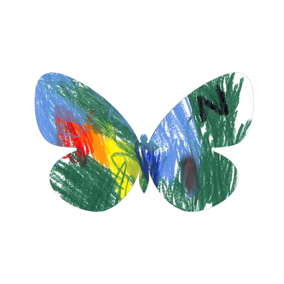 Original Butterfly Image