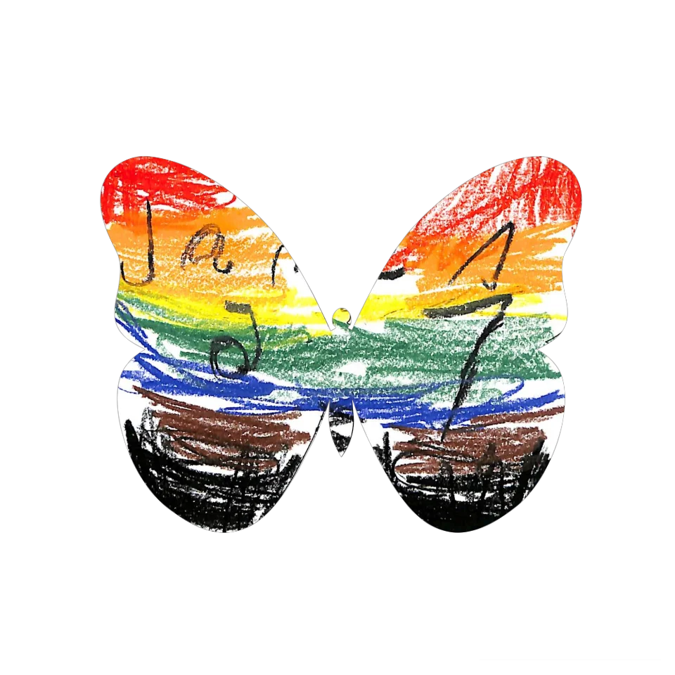 Original Butterfly Image