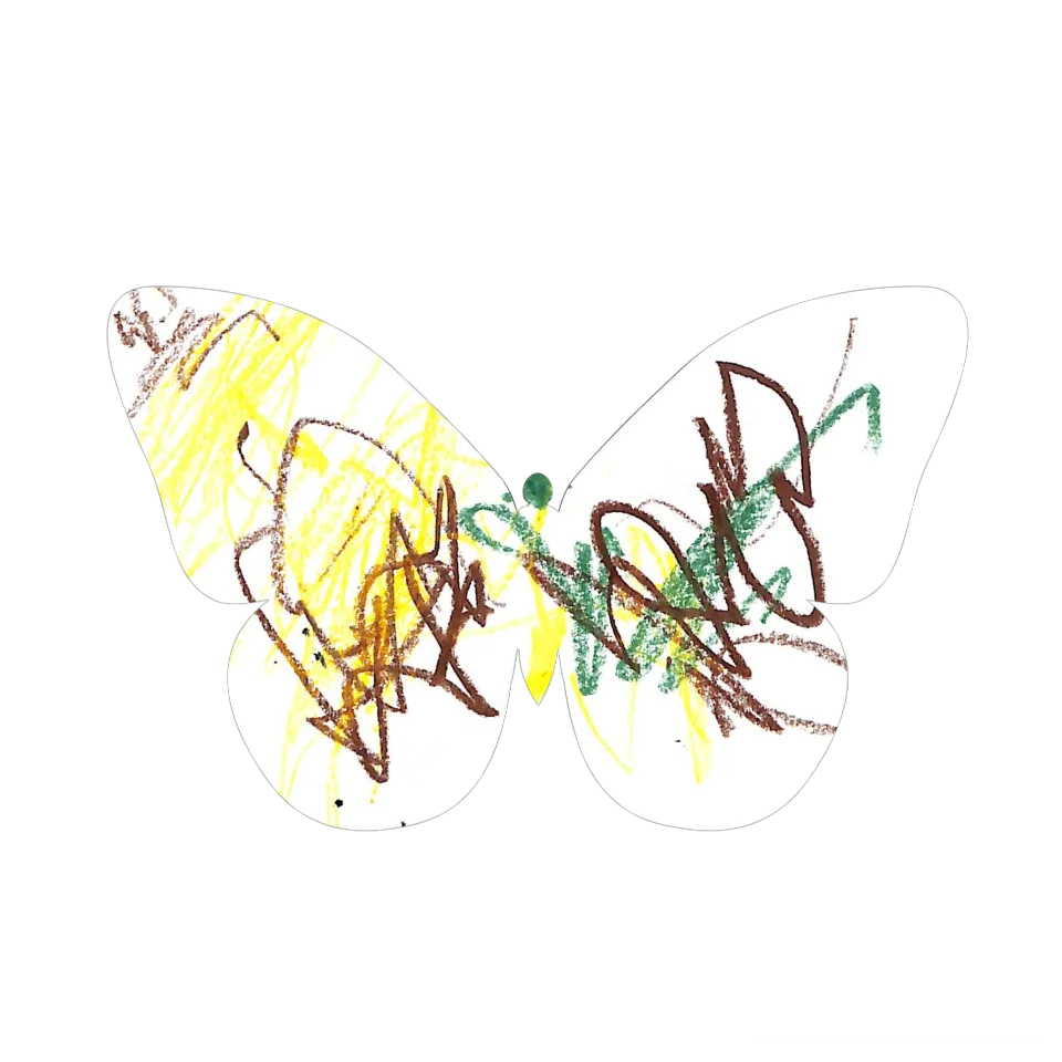 Original Butterfly Image