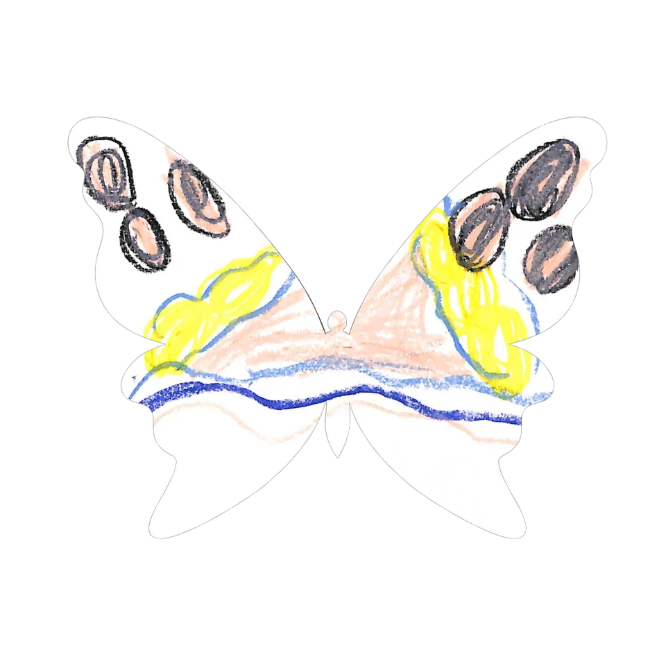 Original Butterfly Image