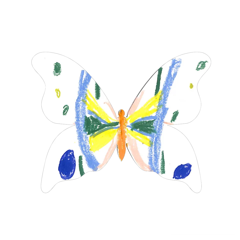 Original Butterfly Image