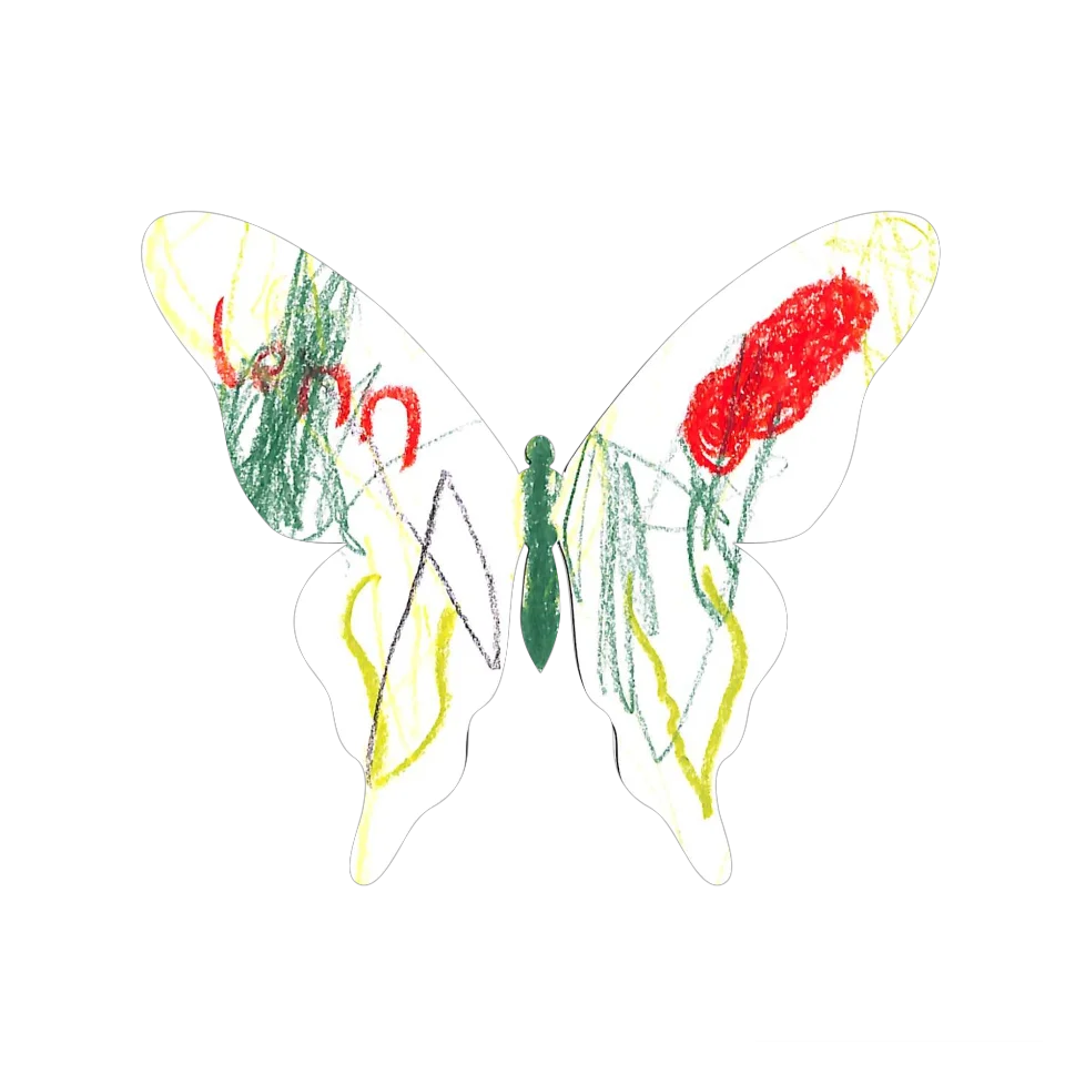 Original Butterfly Image