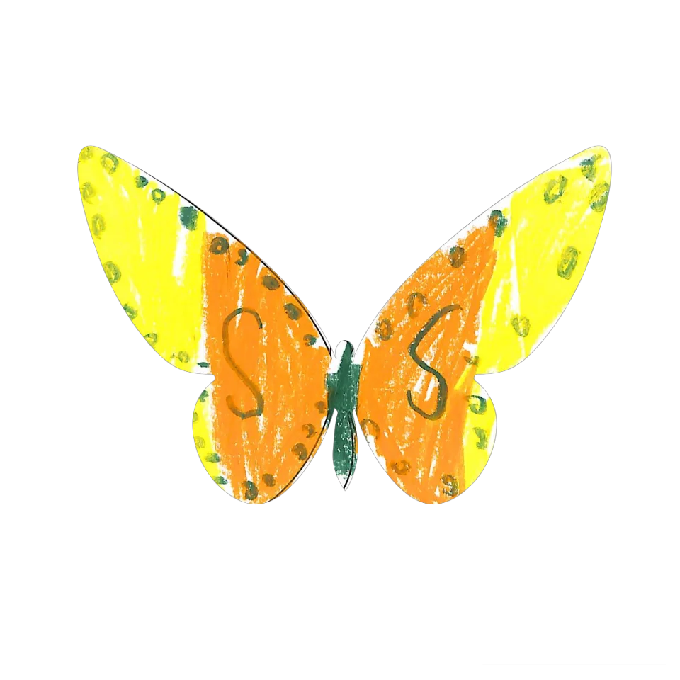 Original Butterfly Image