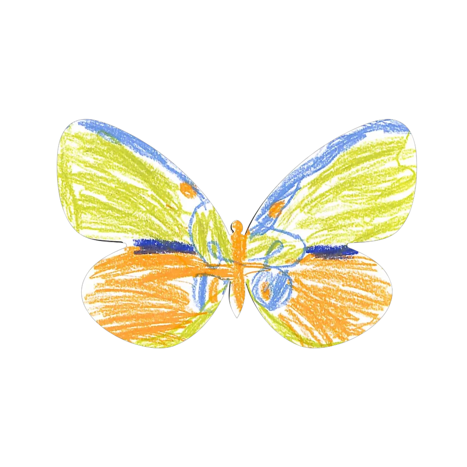 Original Butterfly Image