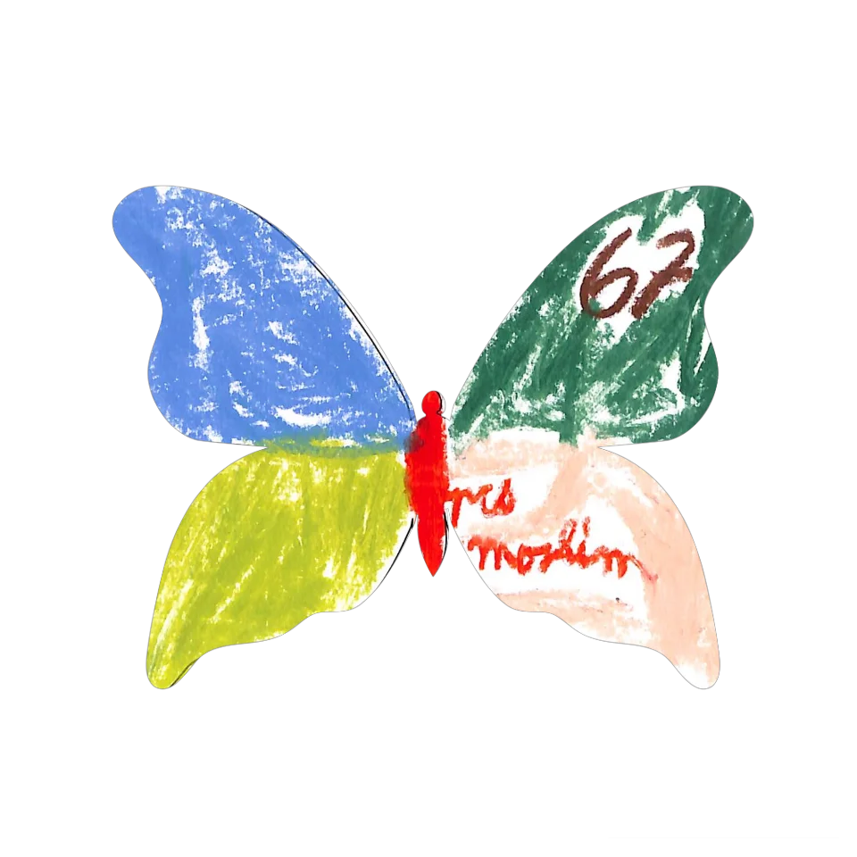 Original Butterfly Image