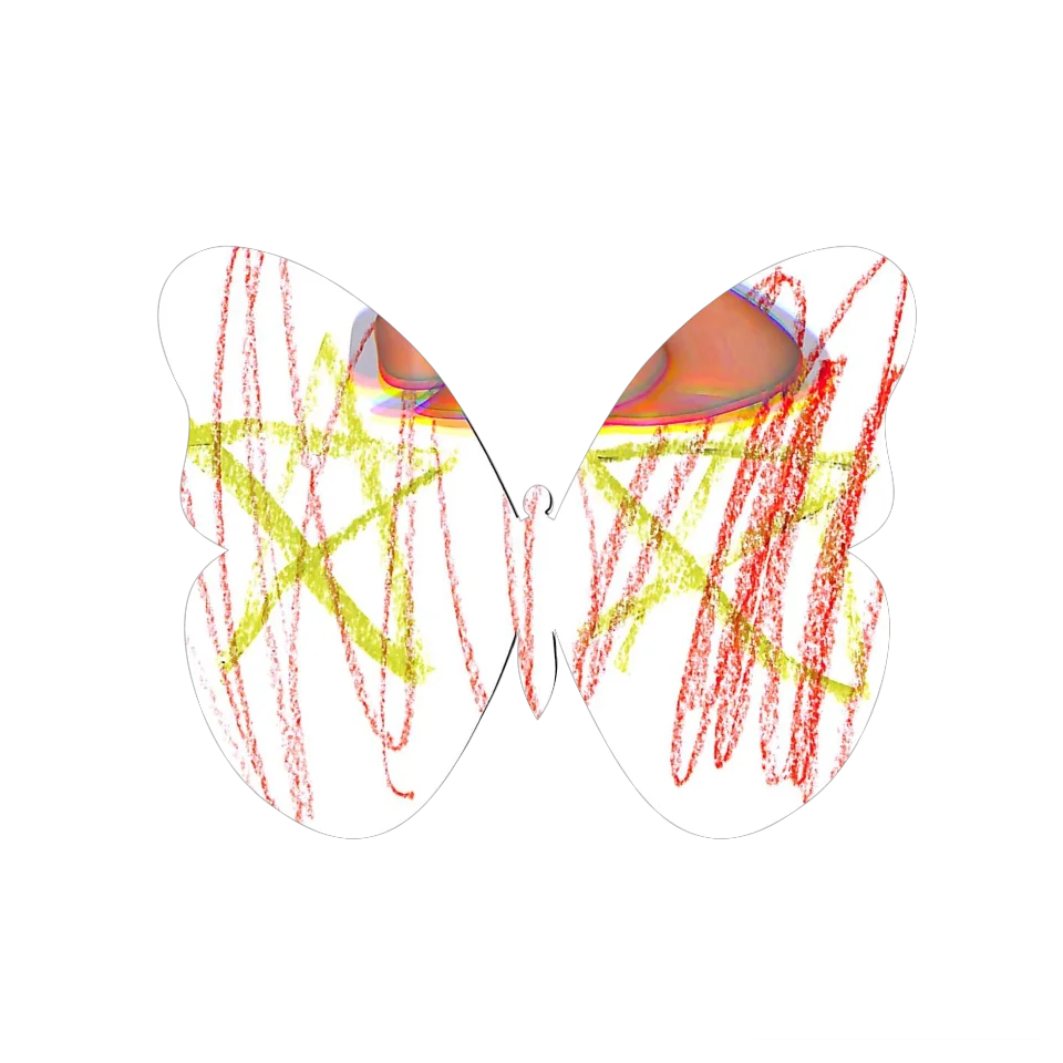 Original Butterfly Image