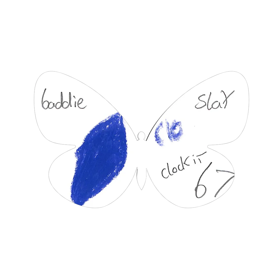 Original Butterfly Image