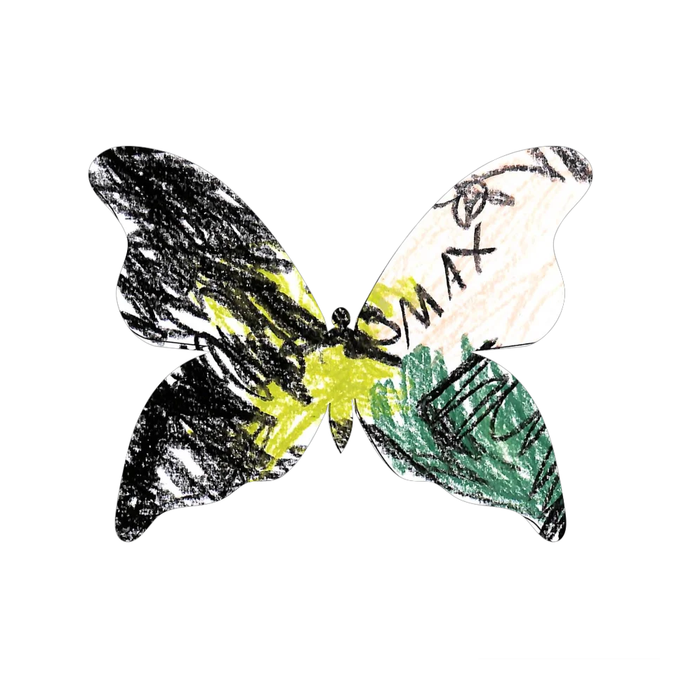 Original Butterfly Image