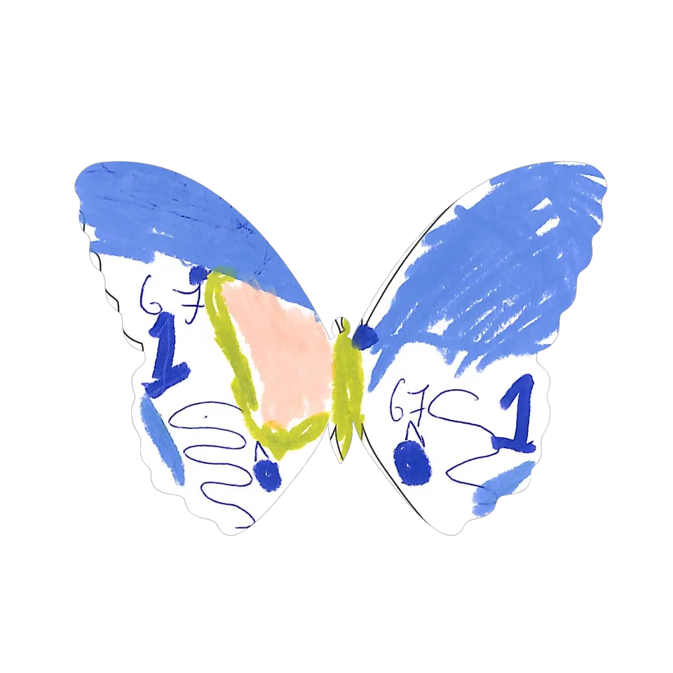 Original Butterfly Image