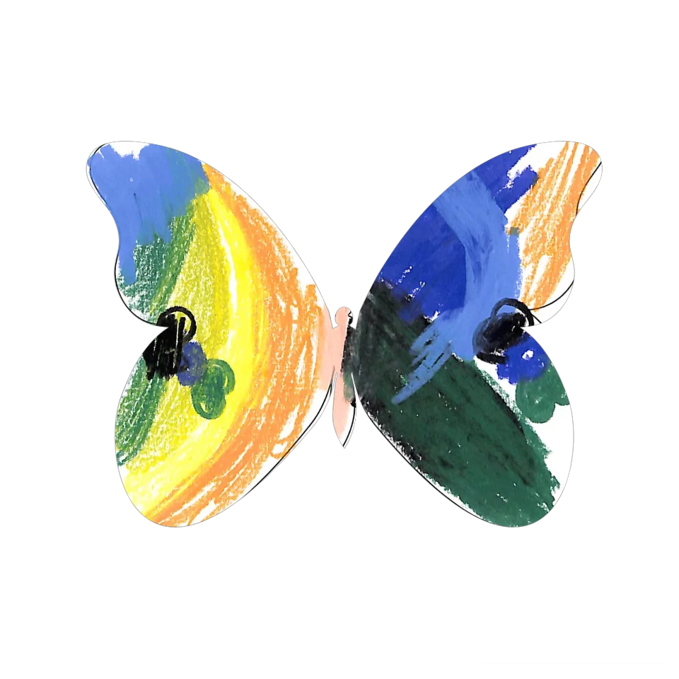 Original Butterfly Image