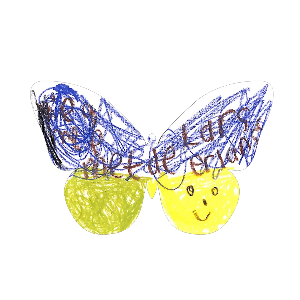 Original Butterfly Image