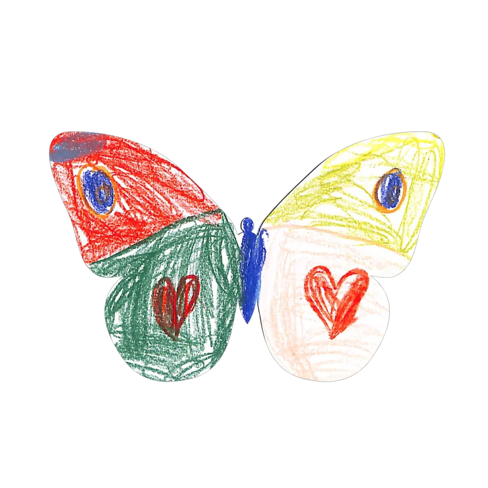 Original Butterfly Image