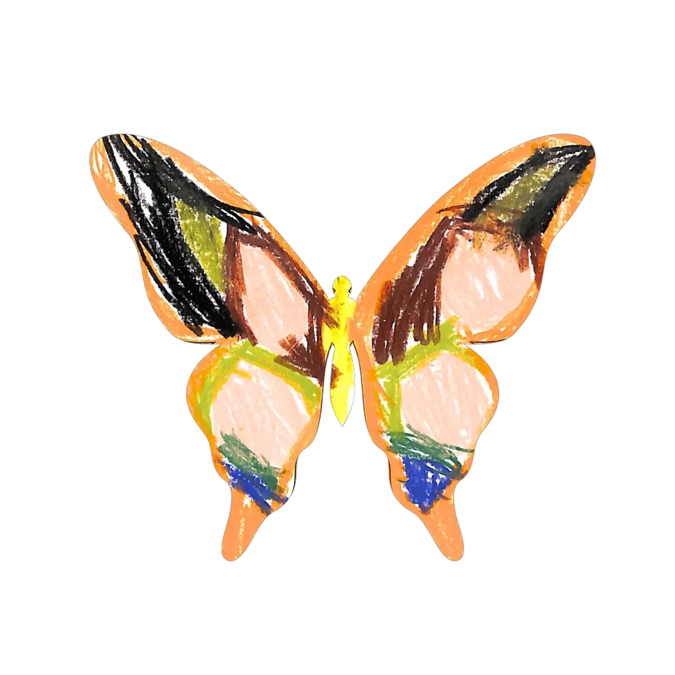 Original Butterfly Image