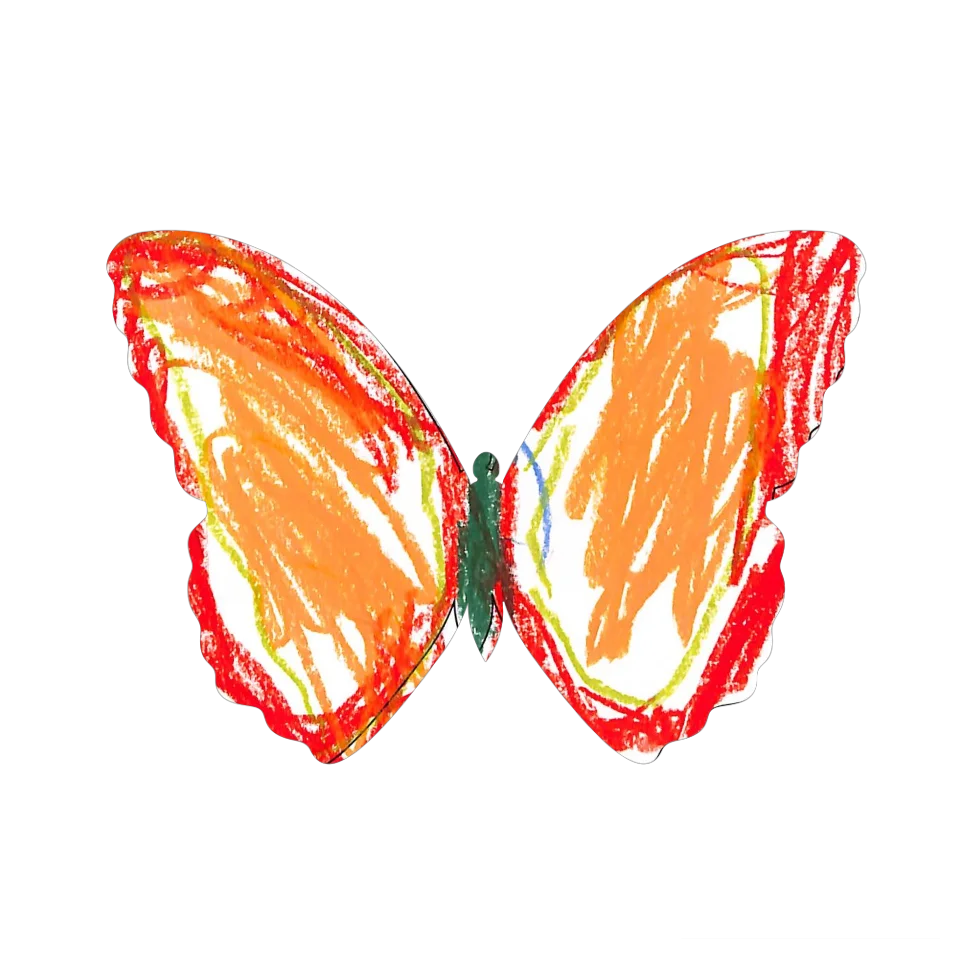 Original Butterfly Image