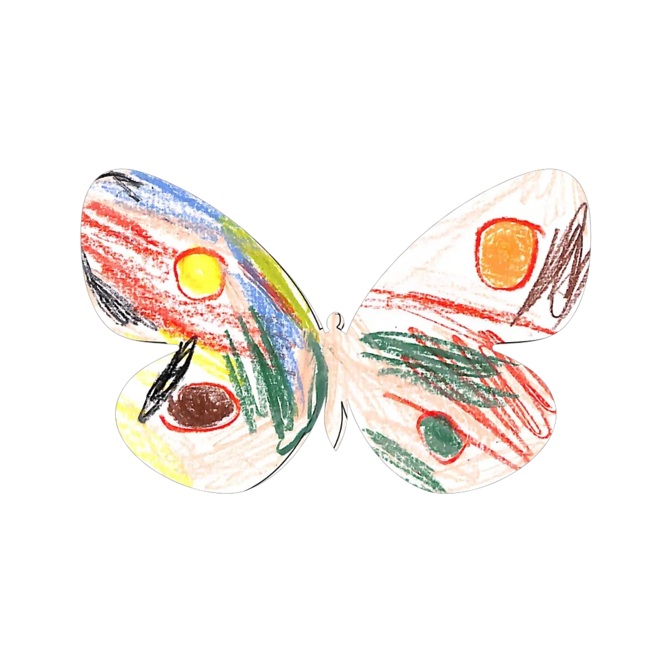 Original Butterfly Image