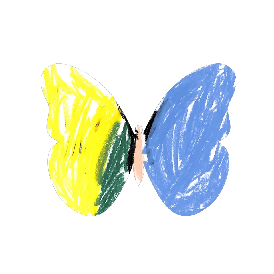 Original Butterfly Image
