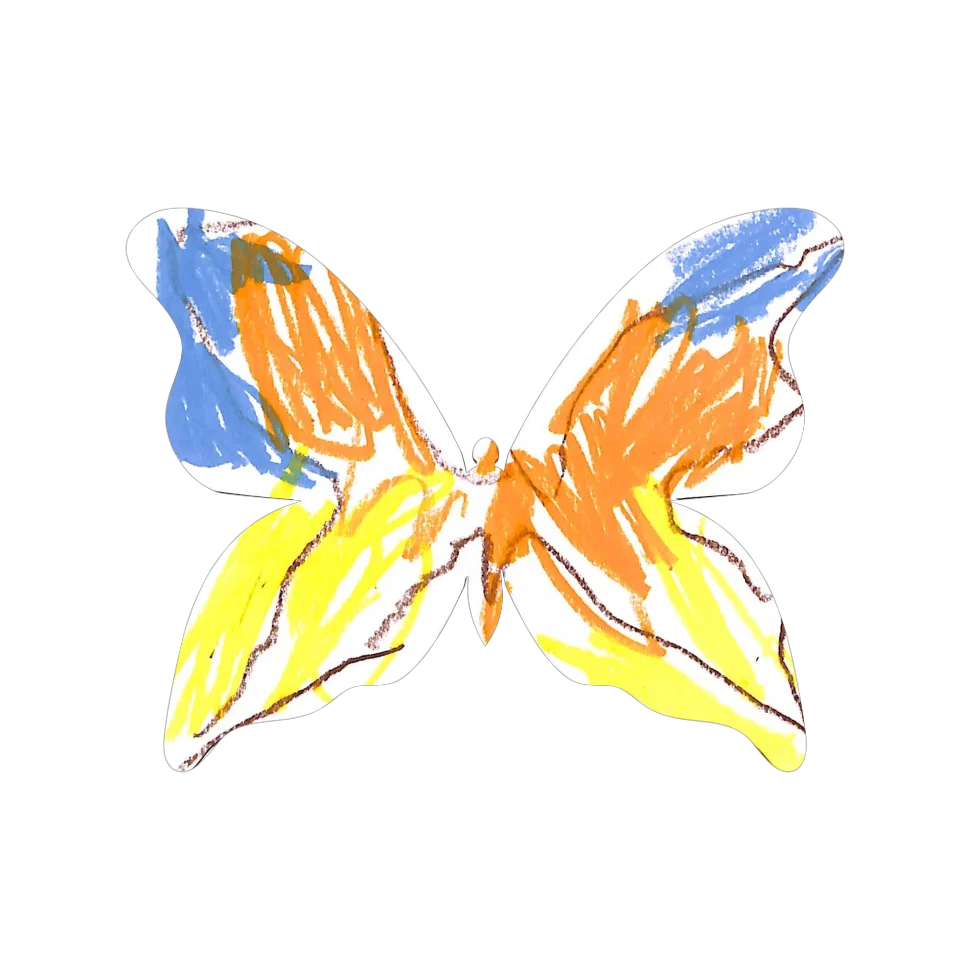 Original Butterfly Image