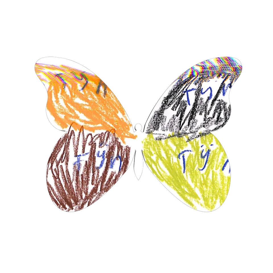 Original Butterfly Image