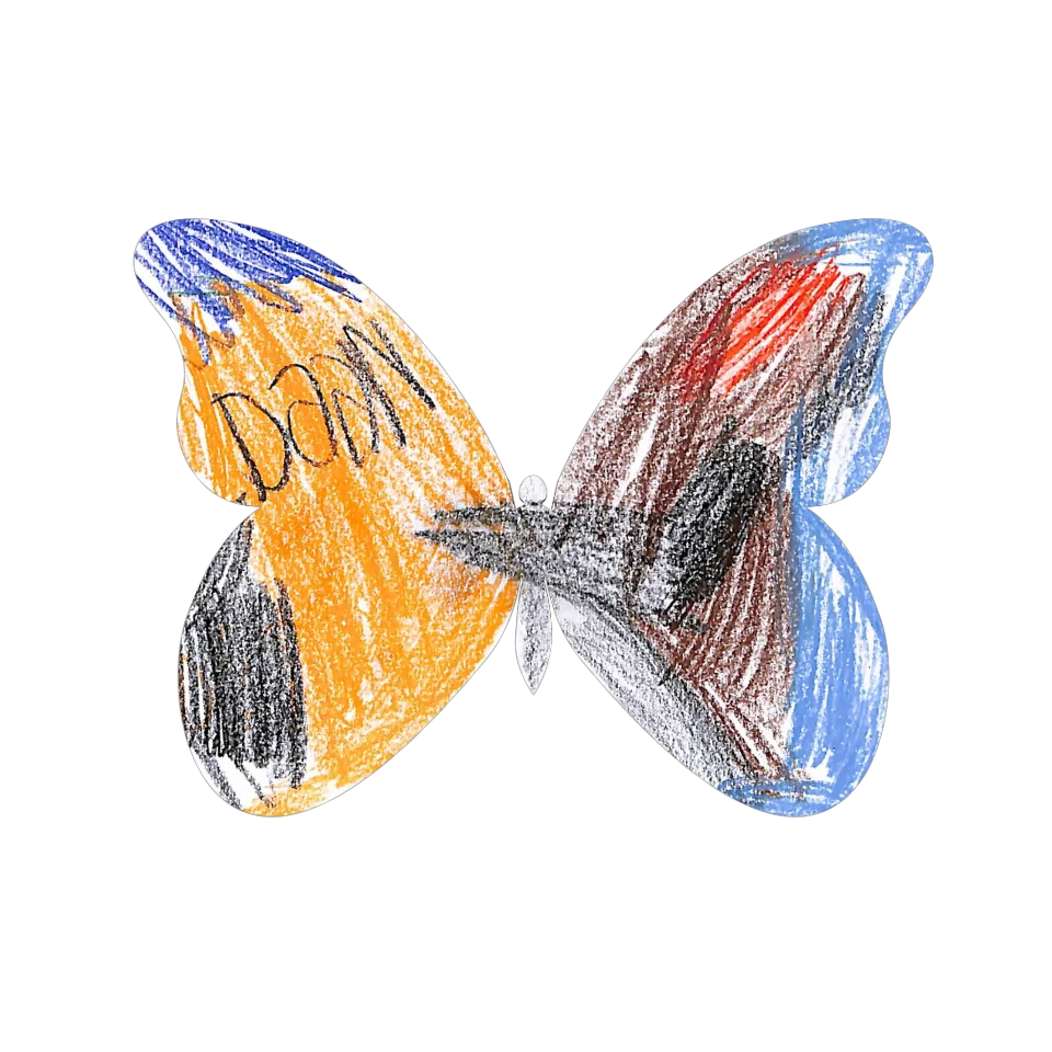 Original Butterfly Image