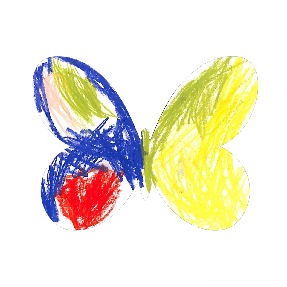 Original Butterfly Image