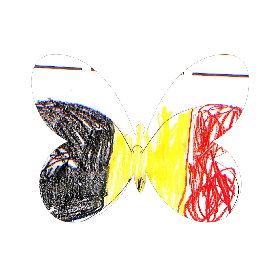 Original Butterfly Image