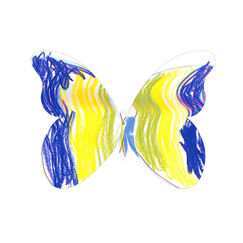 Original Butterfly Image