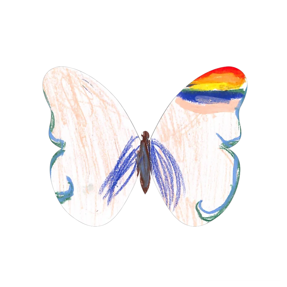 Original Butterfly Image