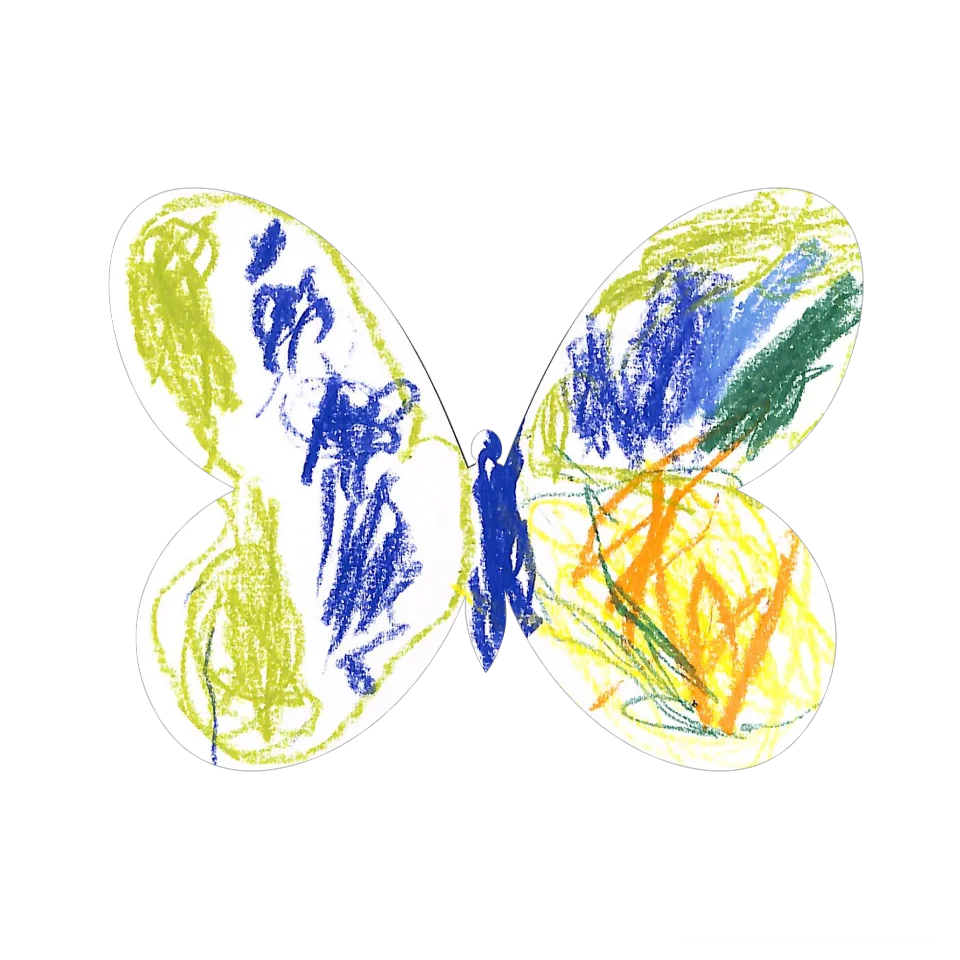 Original Butterfly Image