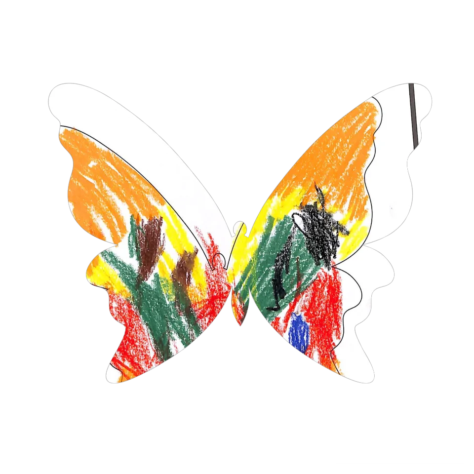 Original Butterfly Image