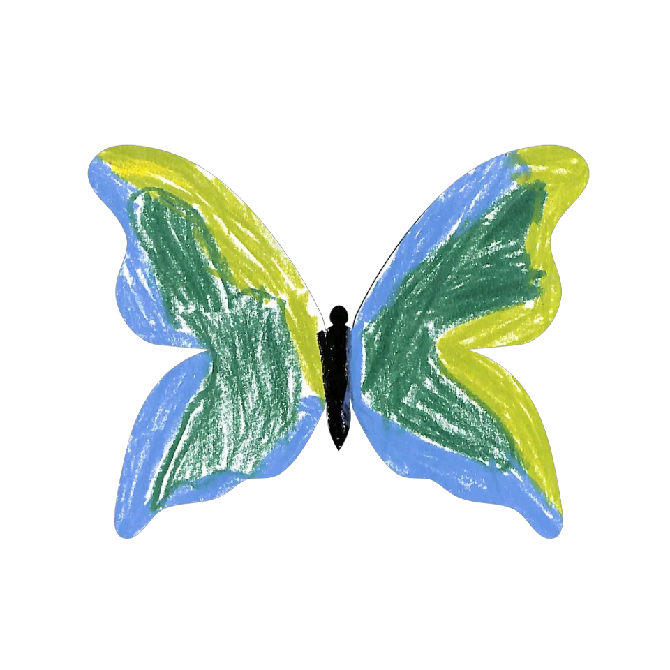 Original Butterfly Image