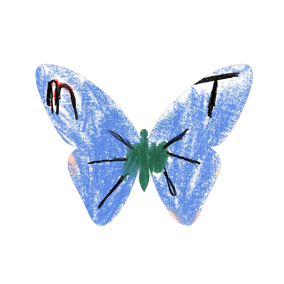 Original Butterfly Image