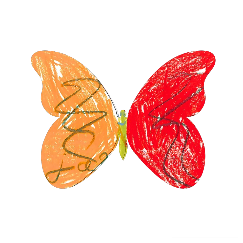 Original Butterfly Image