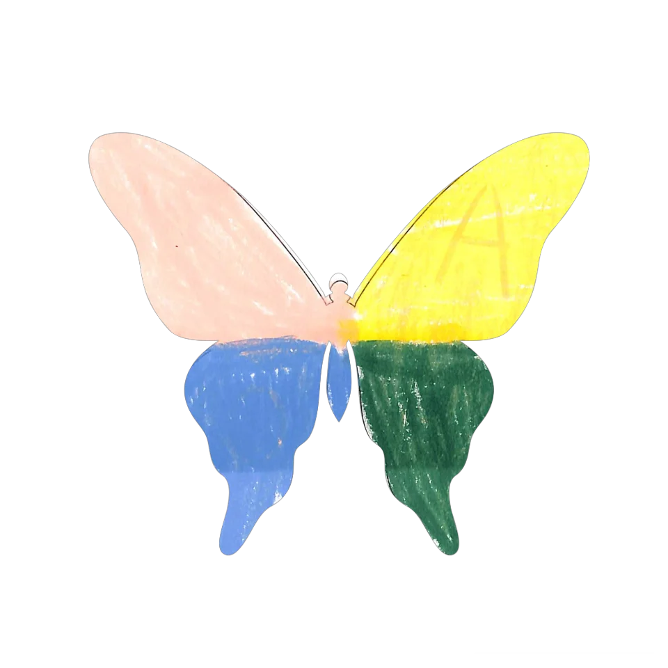 Original Butterfly Image