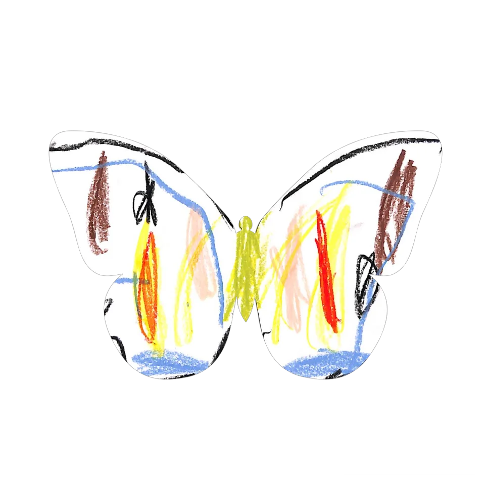 Original Butterfly Image