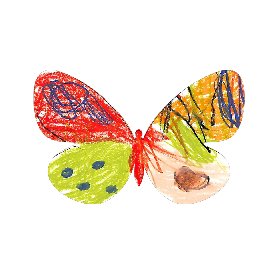 Original Butterfly Image