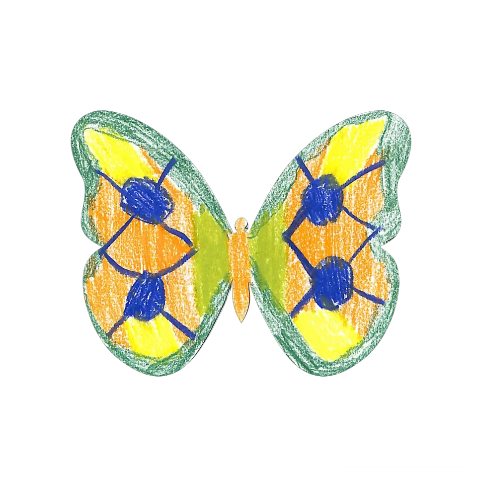 Original Butterfly Image