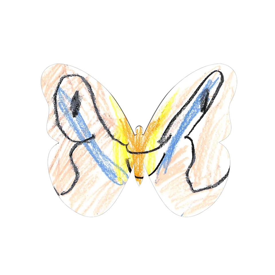 Original Butterfly Image
