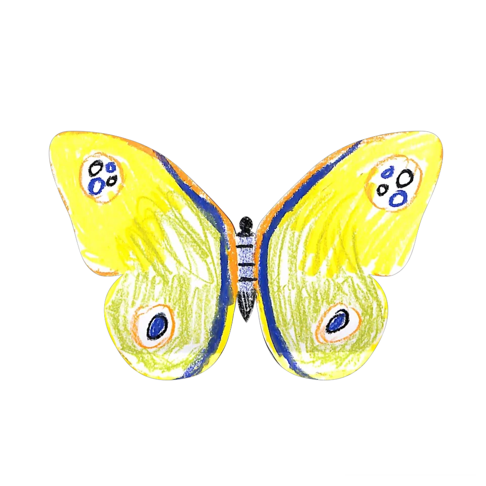 Original Butterfly Image