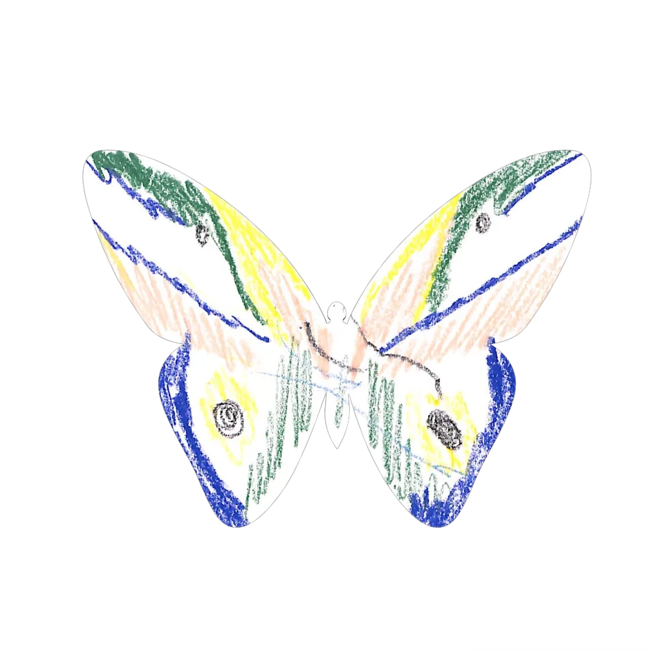 Original Butterfly Image