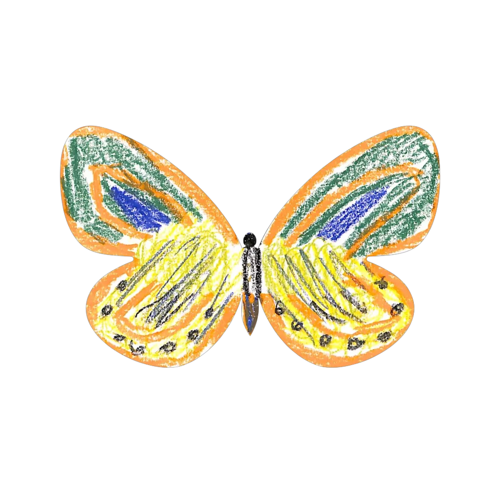 Original Butterfly Image