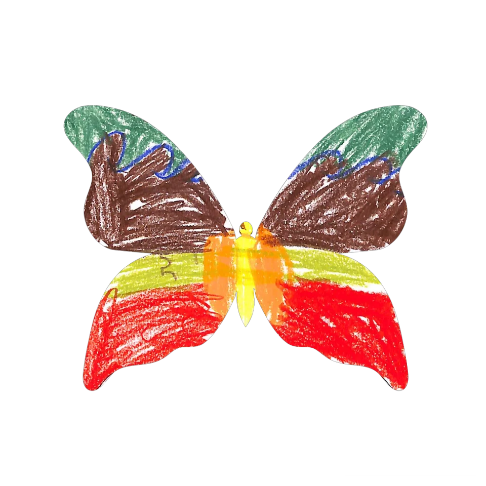 Original Butterfly Image