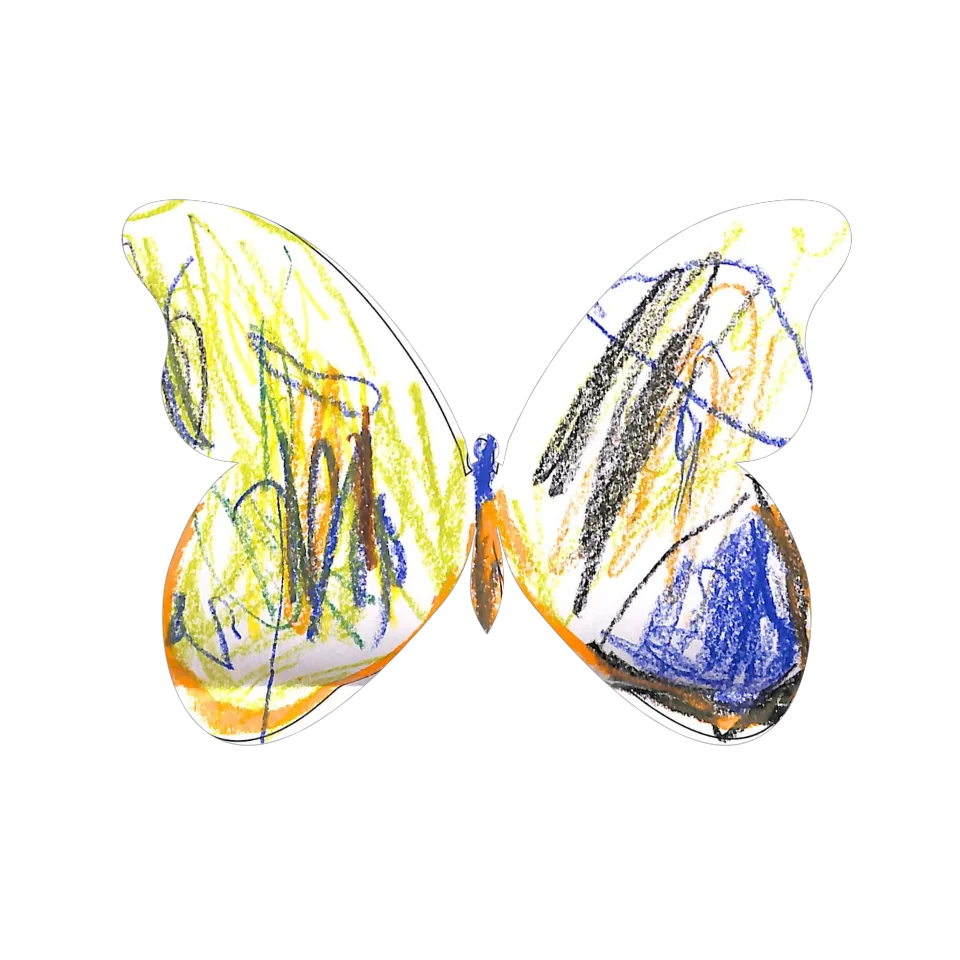 Original Butterfly Image